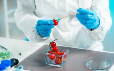 Qual é o objeto de estudo da química e bioquímica dos alimentos?