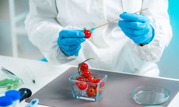 Qual é o objeto de estudo da química e bioquímica dos alimentos?
