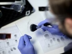 Mestrado em Criminologia e Investigação Criminal
