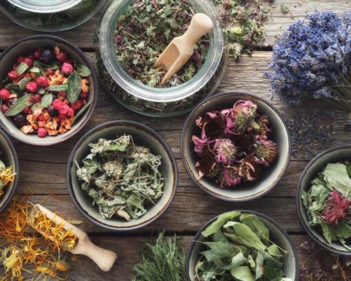 Mestrado em Naturopatia + Mestrado em Dietética Herbal e Herbalismo